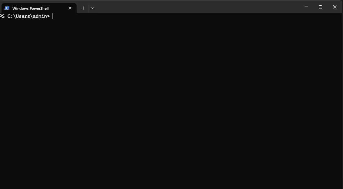 Windows 11 Terminal